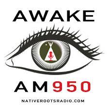 Native Roots logo