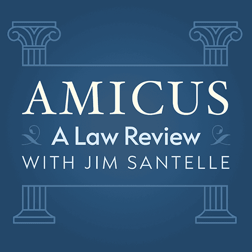 Amicus: A Law Review logo